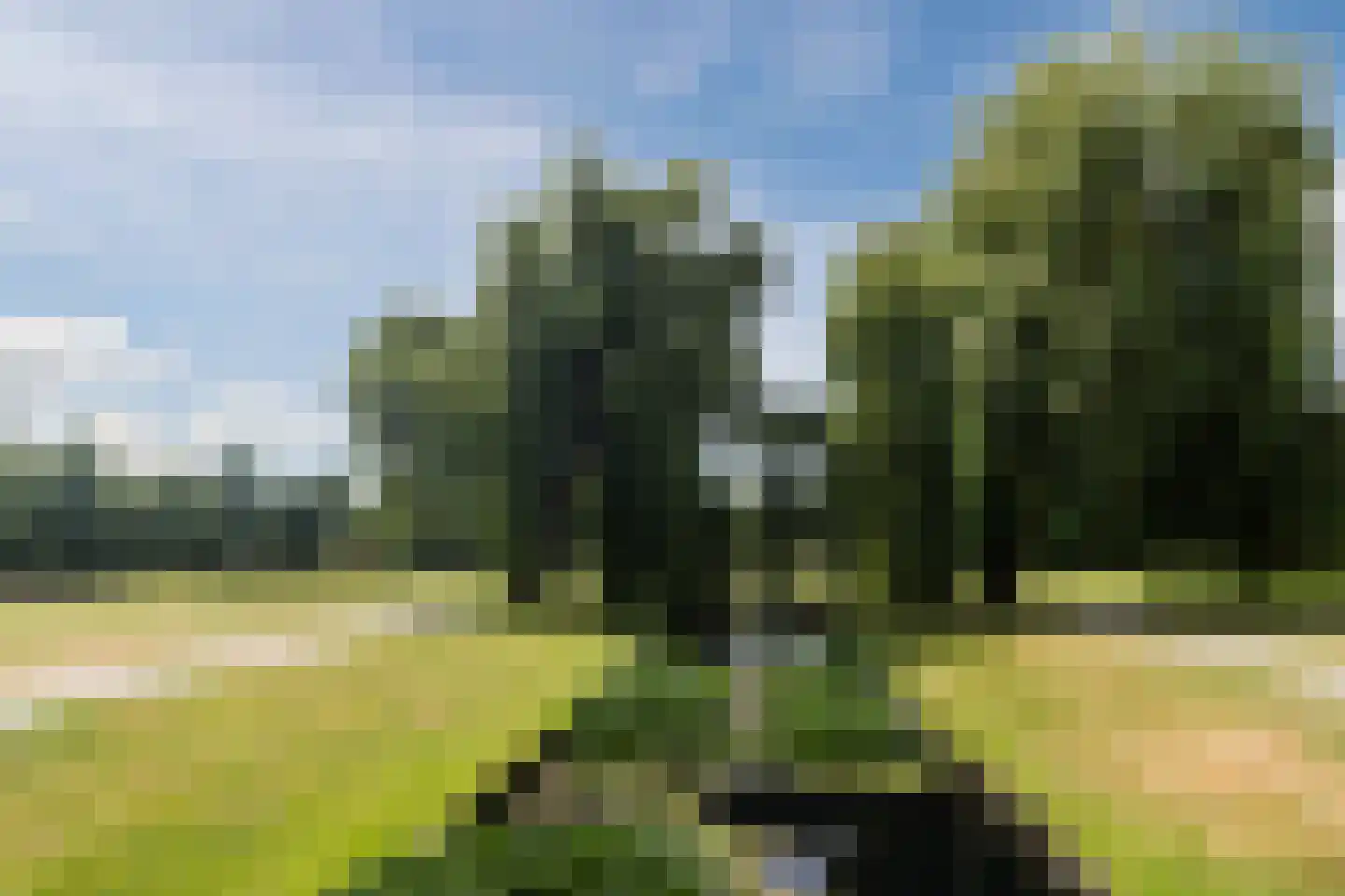 Molecatensingel 100 Rotterdam thumbnail 48