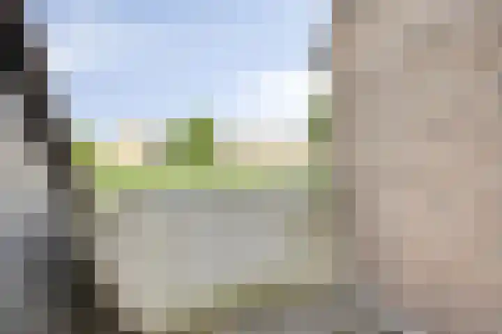 Molecatensingel 30 Rotterdam thumbnail 19