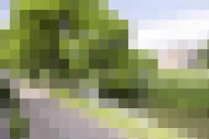 Molecatensingel 30 Rotterdam thumbnail 25