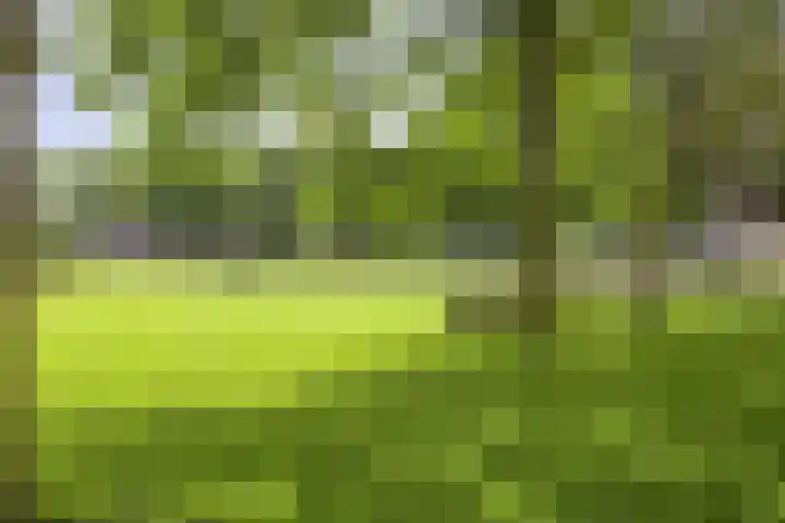 Molecatensingel 30 Rotterdam foto 3