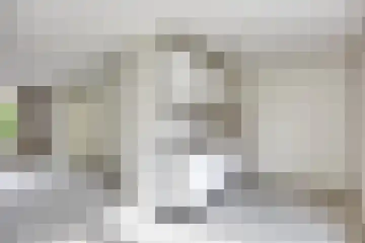 Molecatensingel 30 Rotterdam thumbnail 6