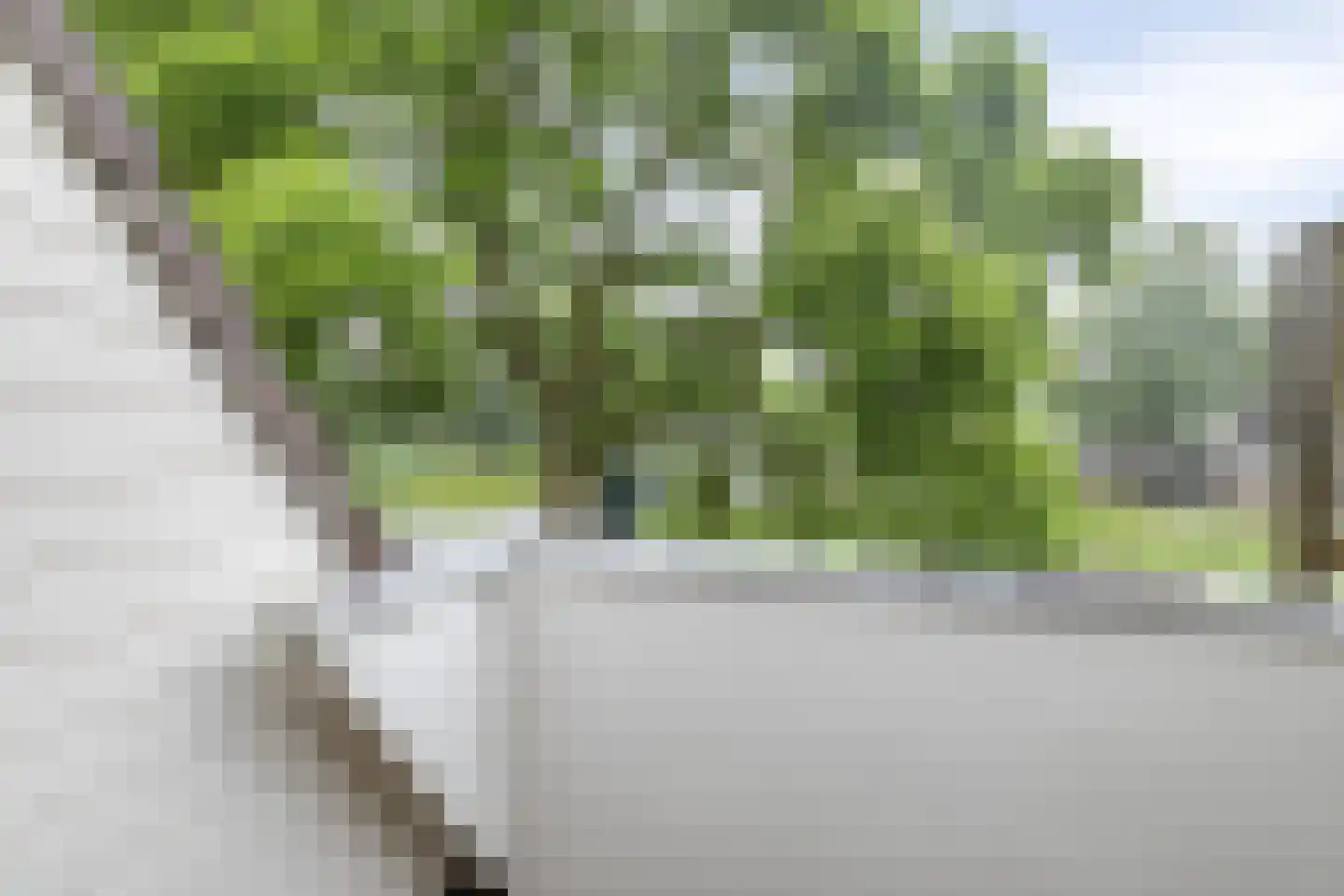 Molecatensingel 34 Rotterdam thumbnail 27