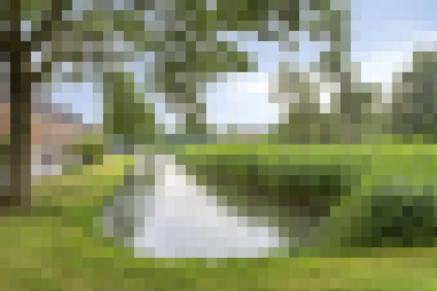Molecatensingel 34 Rotterdam thumbnail 31