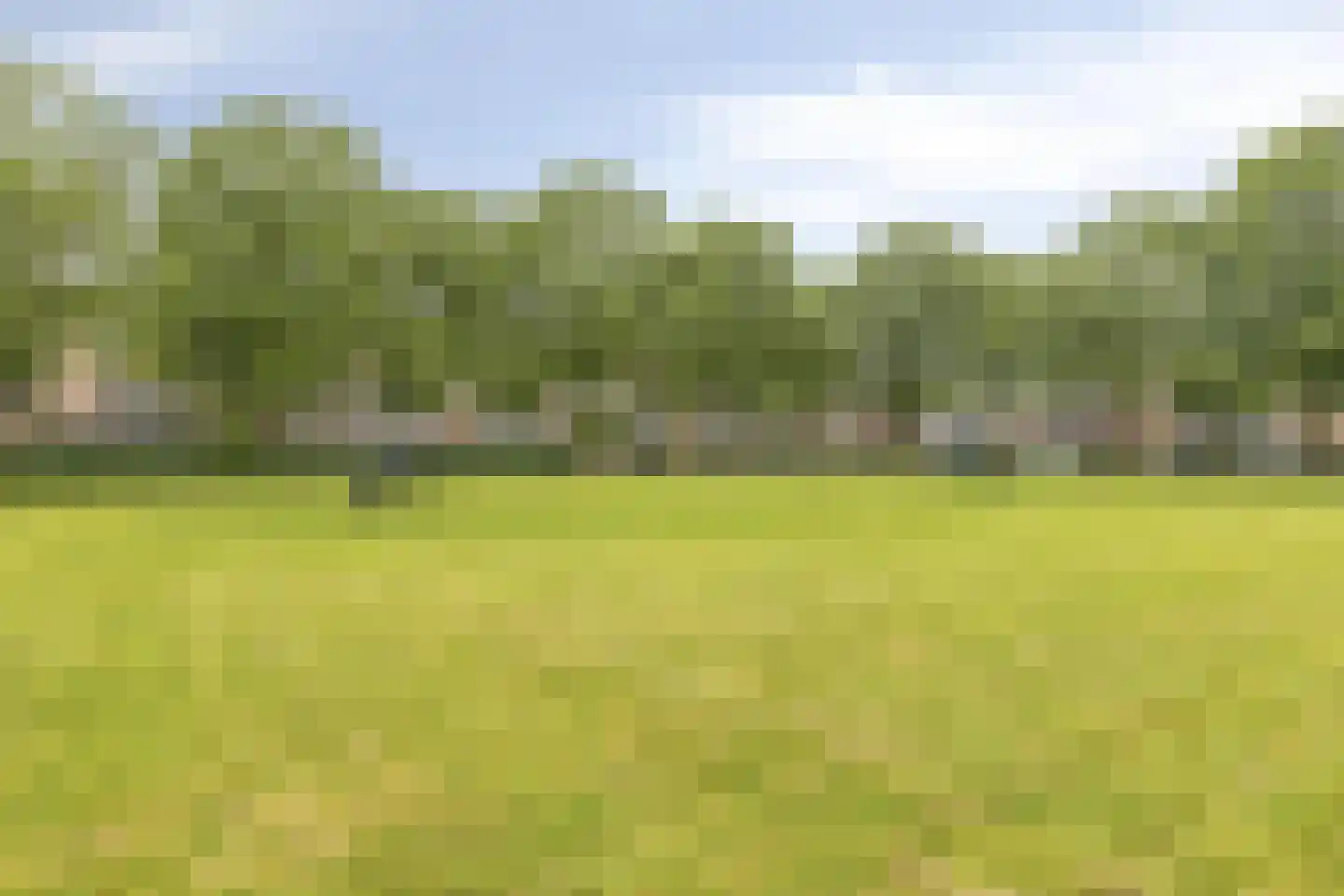 Molecatensingel 34 Rotterdam thumbnail 32