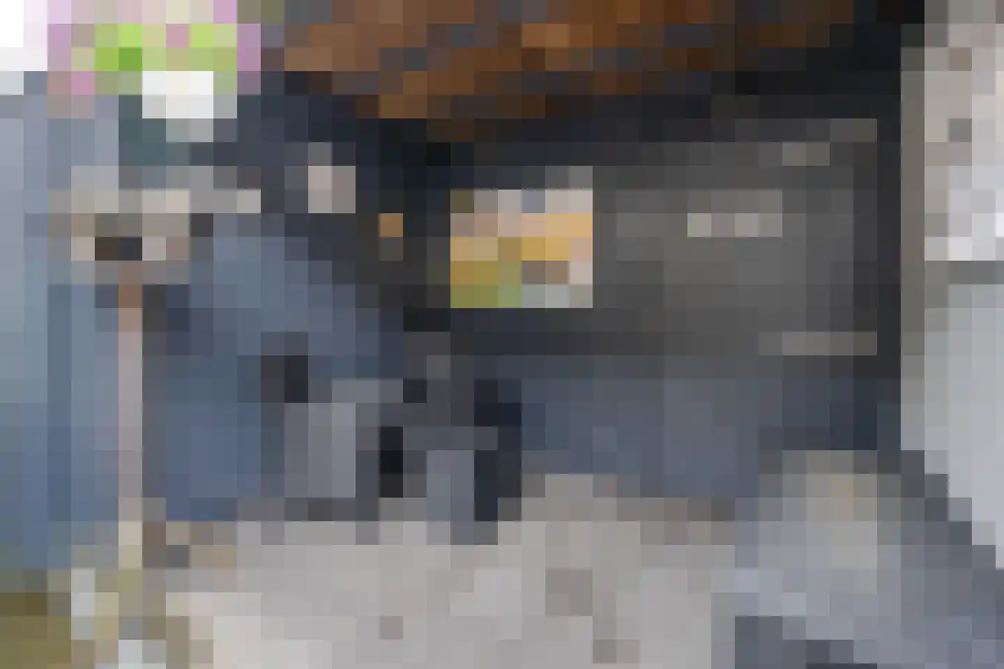 Molecatensingel 347 Rotterdam thumbnail 18