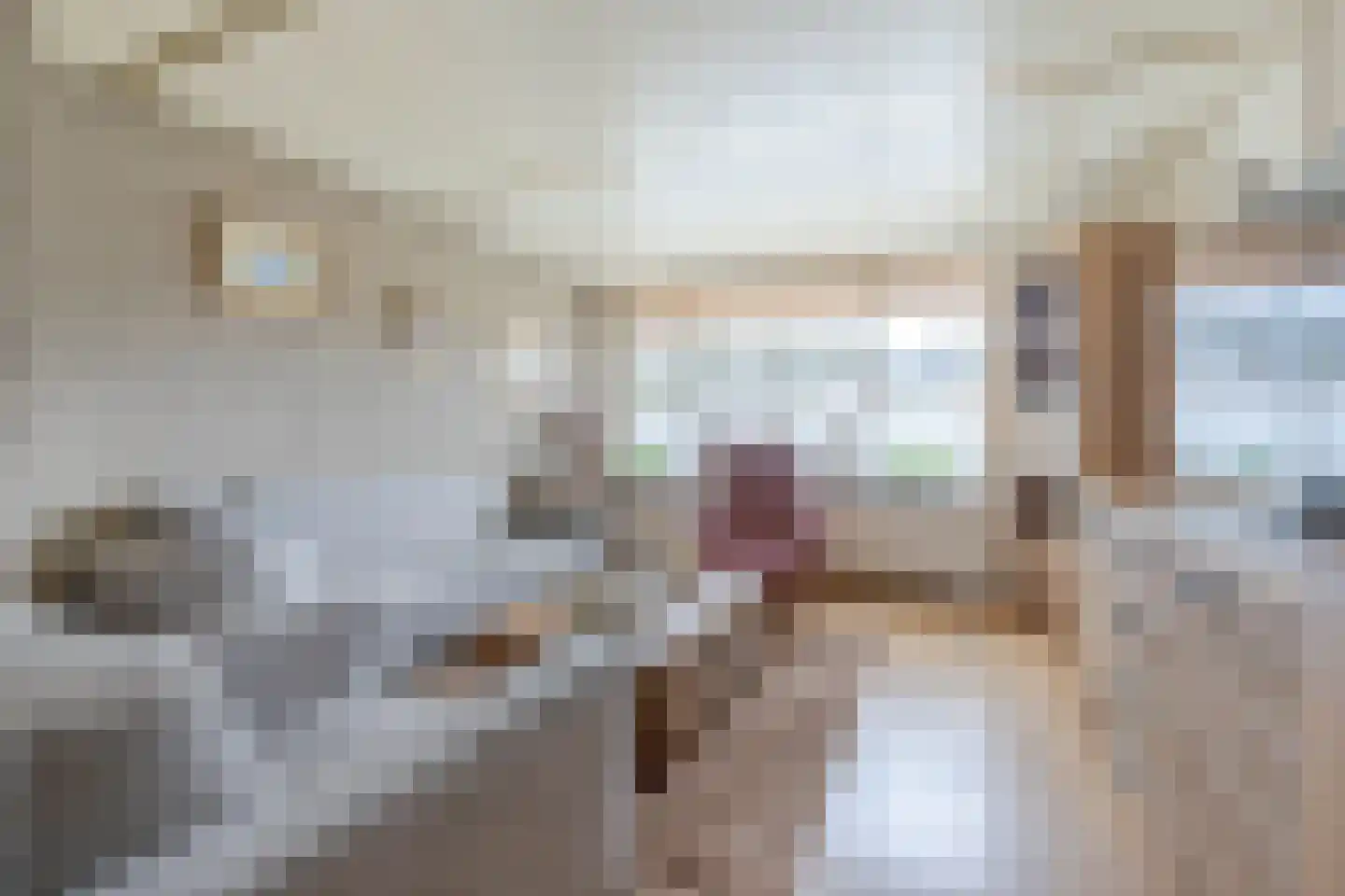 Molecatensingel 347 Rotterdam thumbnail 8