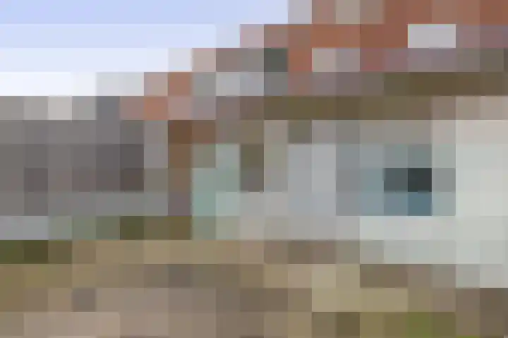 Molecatensingel 375 Rotterdam thumbnail 19