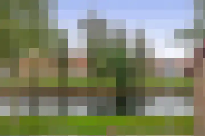 Molecatensingel 375 Rotterdam thumbnail 5