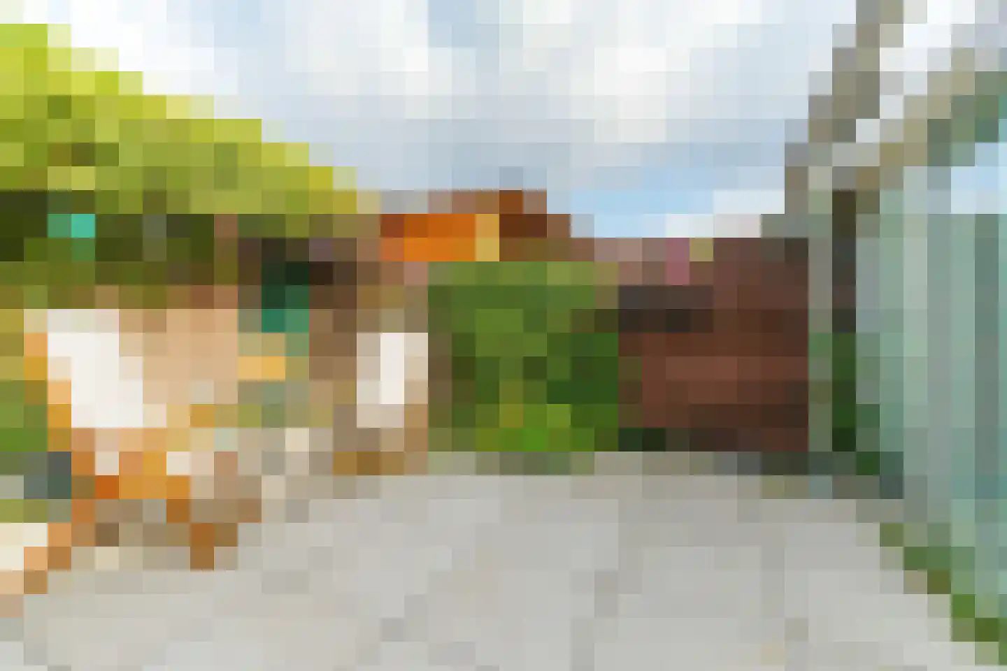 Molecatensingel 399 Rotterdam thumbnail 24