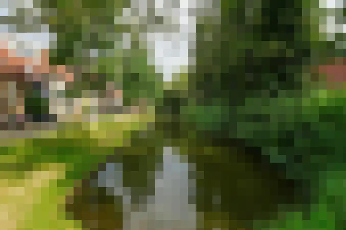 Molecatensingel 399 Rotterdam thumbnail 30