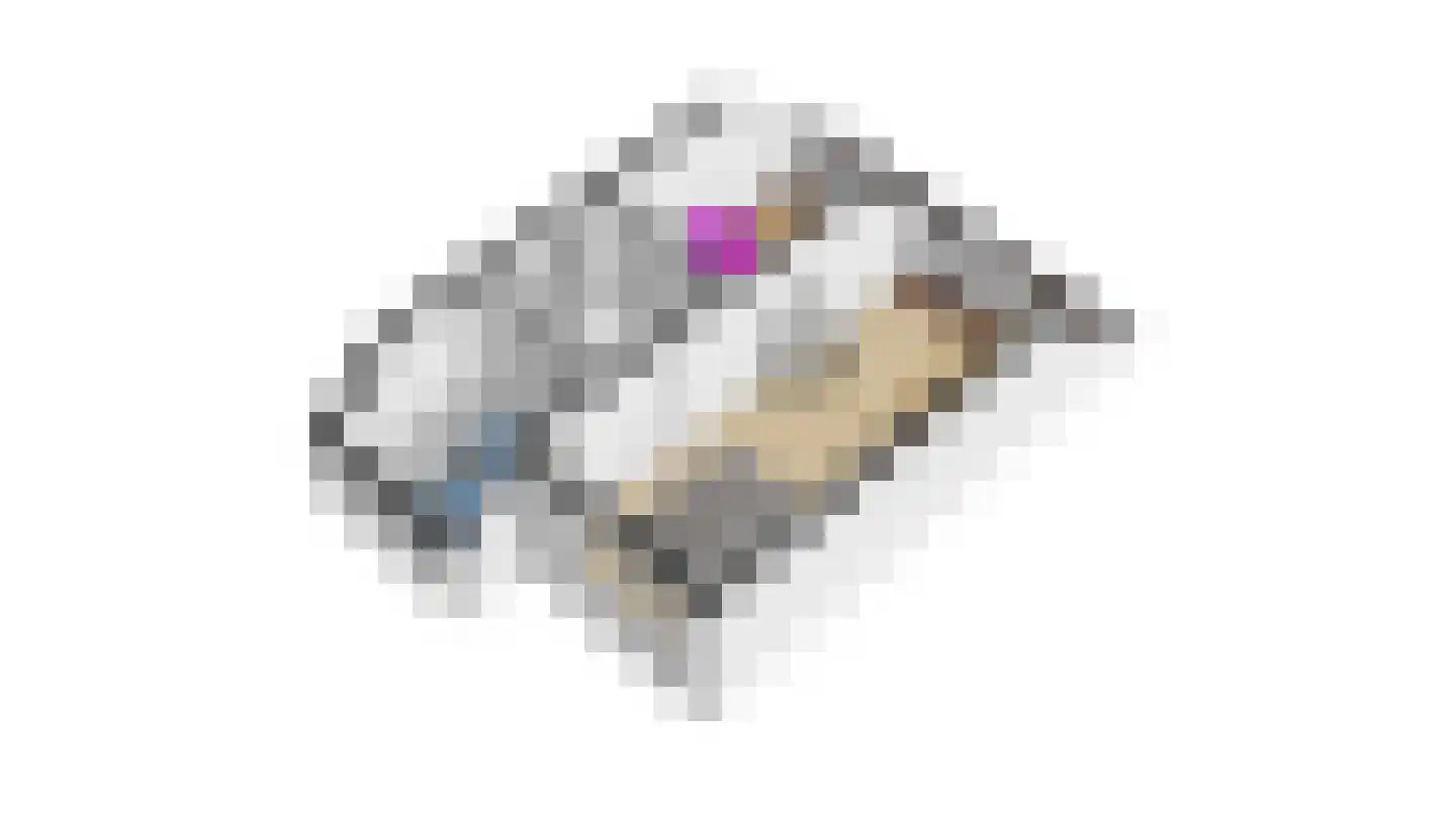 Molecatensingel 399 Rotterdam thumbnail 34