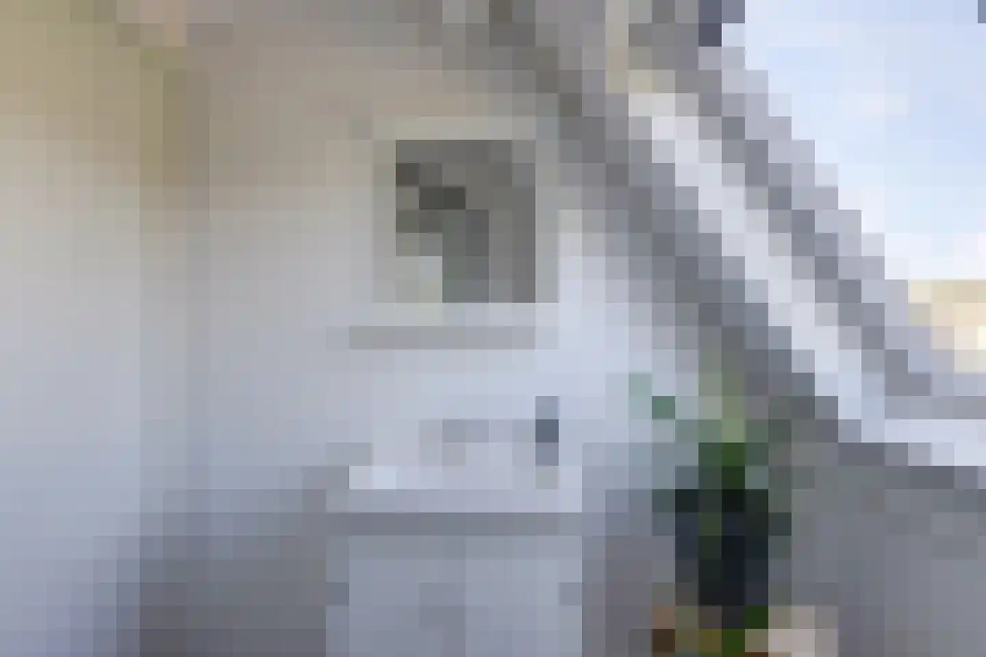 Molecatensingel 54 Rotterdam thumbnail 35