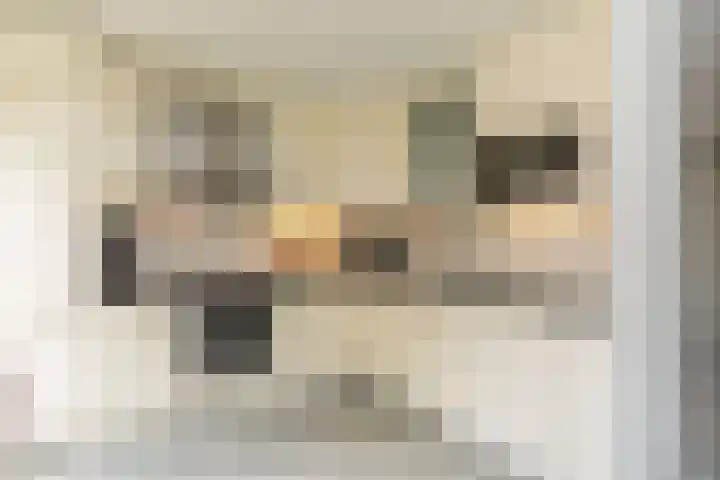 Molecatensingel 68 Rotterdam thumbnail 13