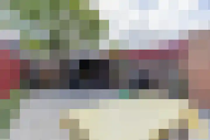 Molecatensingel 68 Rotterdam thumbnail 30
