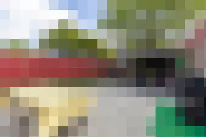 Molecatensingel 68 Rotterdam thumbnail 31