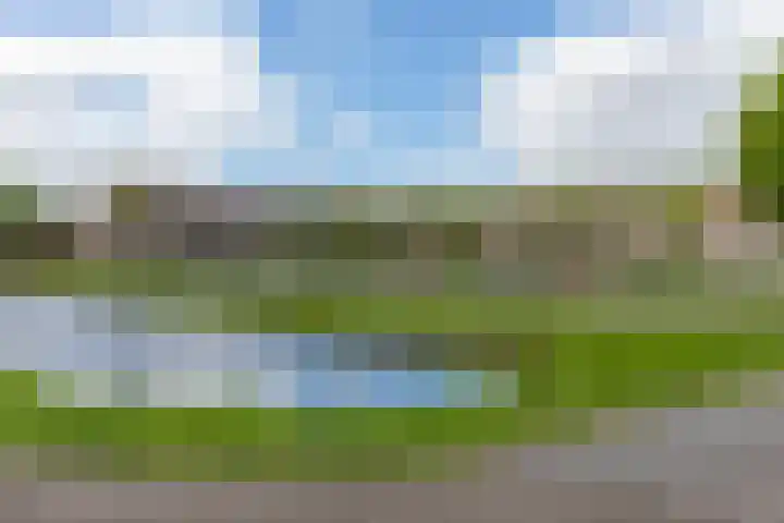 Molecatensingel 68 Rotterdam thumbnail 34