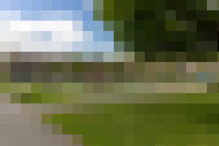 Molecatensingel 68 Rotterdam thumbnail 35