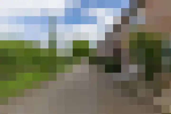 Molecatensingel 68 Rotterdam thumbnail 36