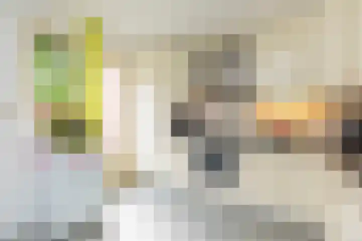 Molecatensingel 68 Rotterdam thumbnail 4