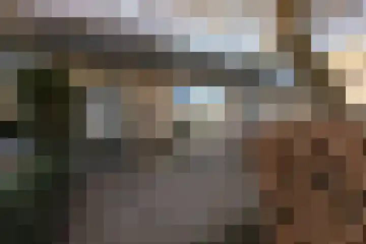 Molefinne 15 in Heeg