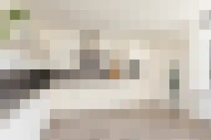Molefinne 15 Heeg thumbnail 10
