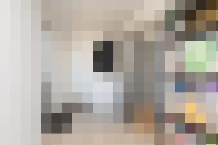 Molefinne 15 Heeg thumbnail 12