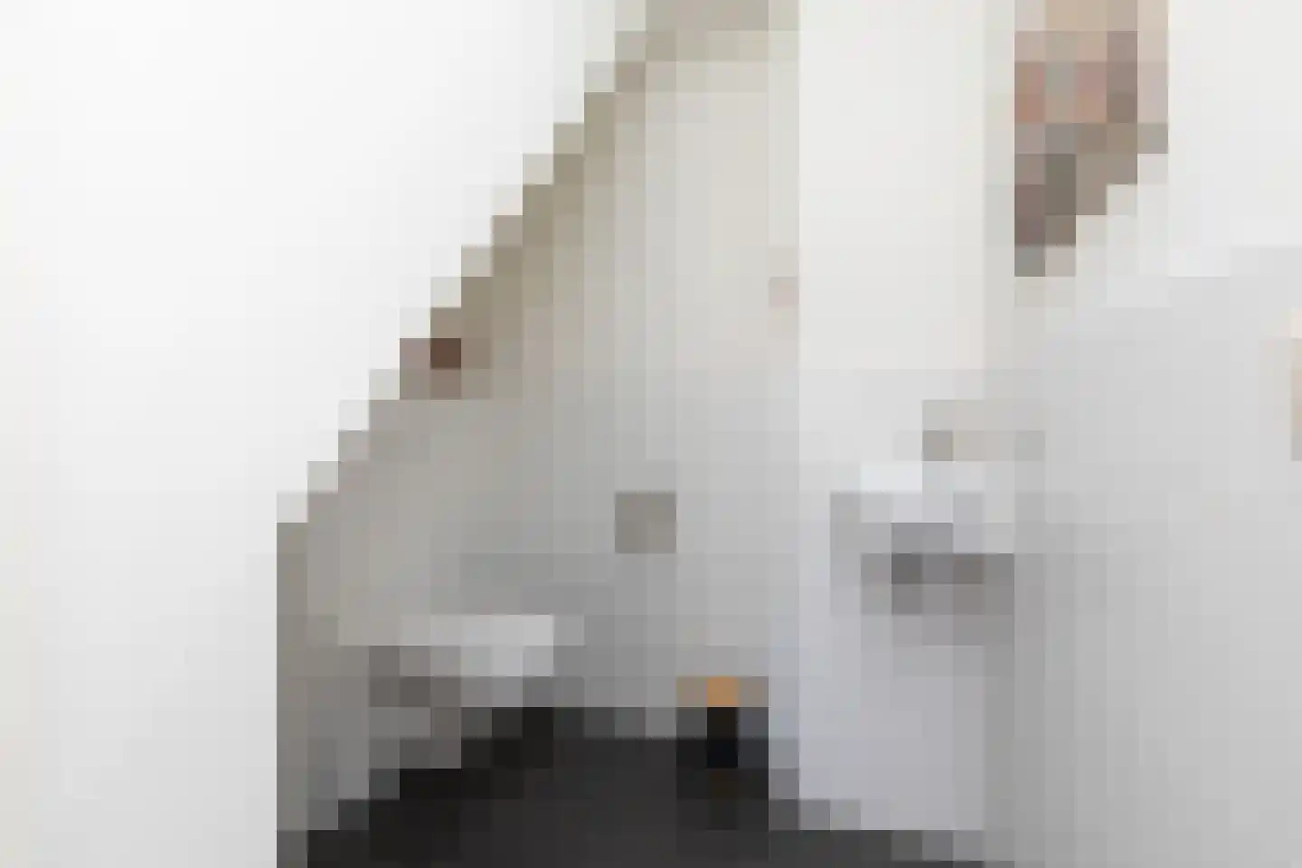 Molefinne 15 Heeg thumbnail 14