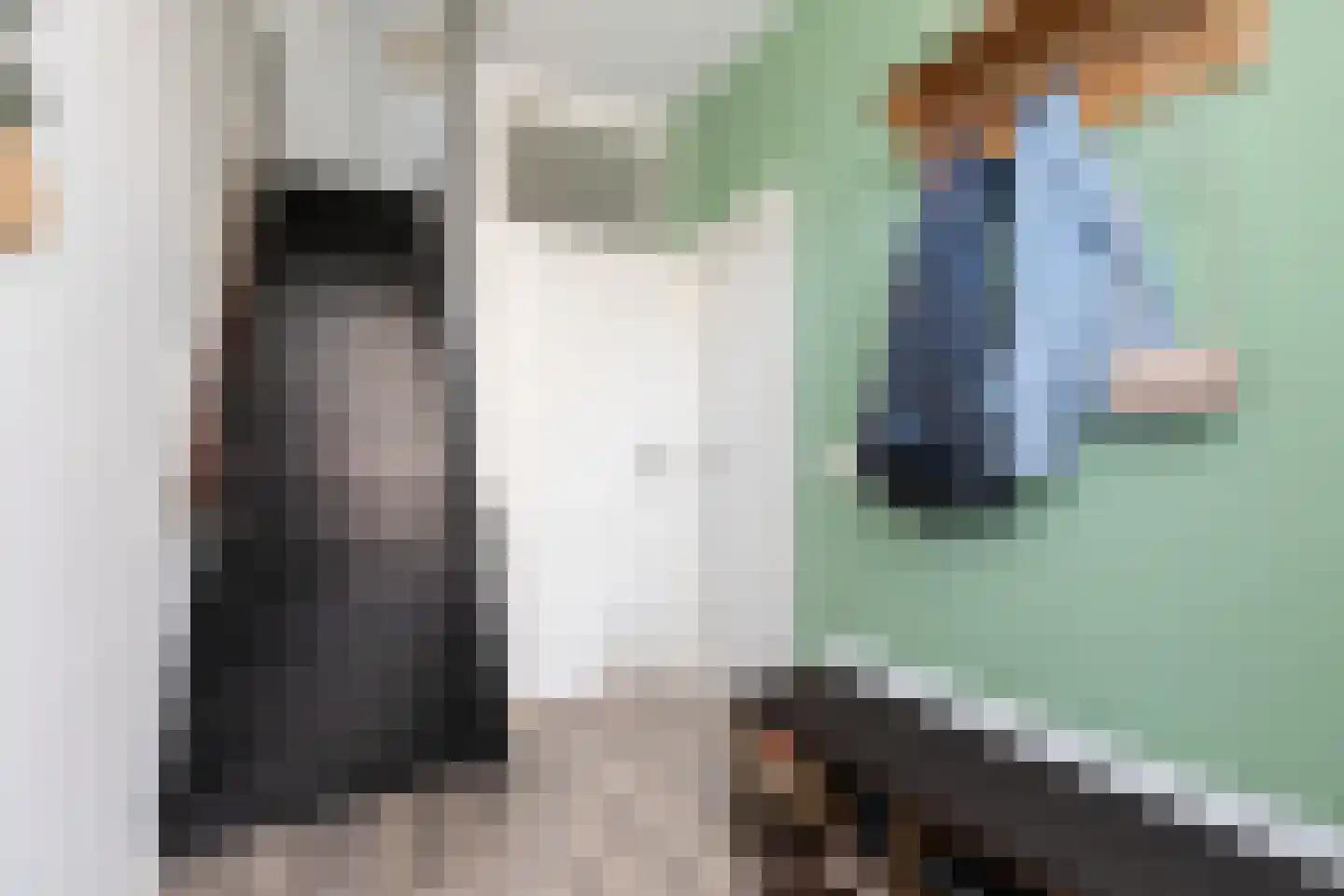 Molefinne 15 Heeg thumbnail 15