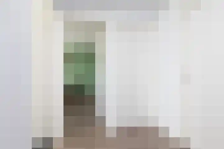 Molefinne 15 Heeg thumbnail 17
