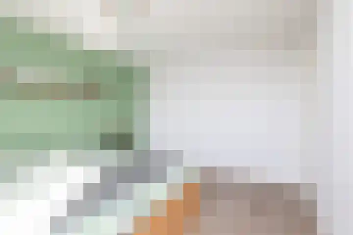 Molefinne 15 Heeg thumbnail 19