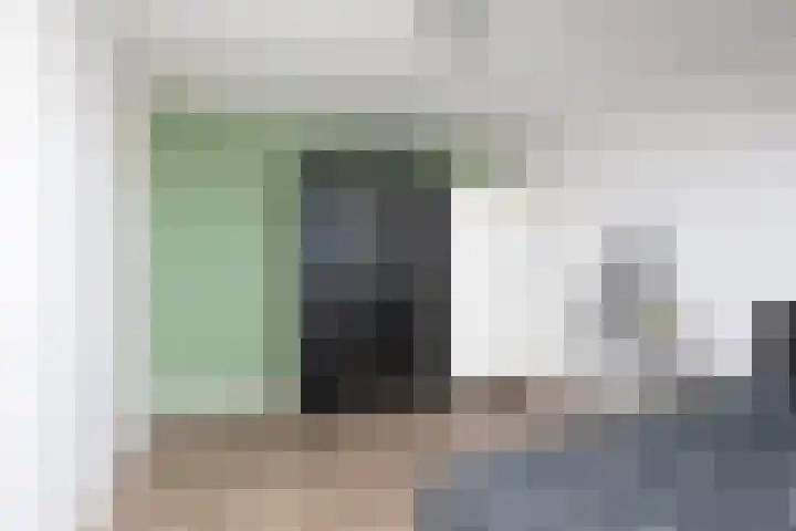 Molefinne 15 Heeg thumbnail 21