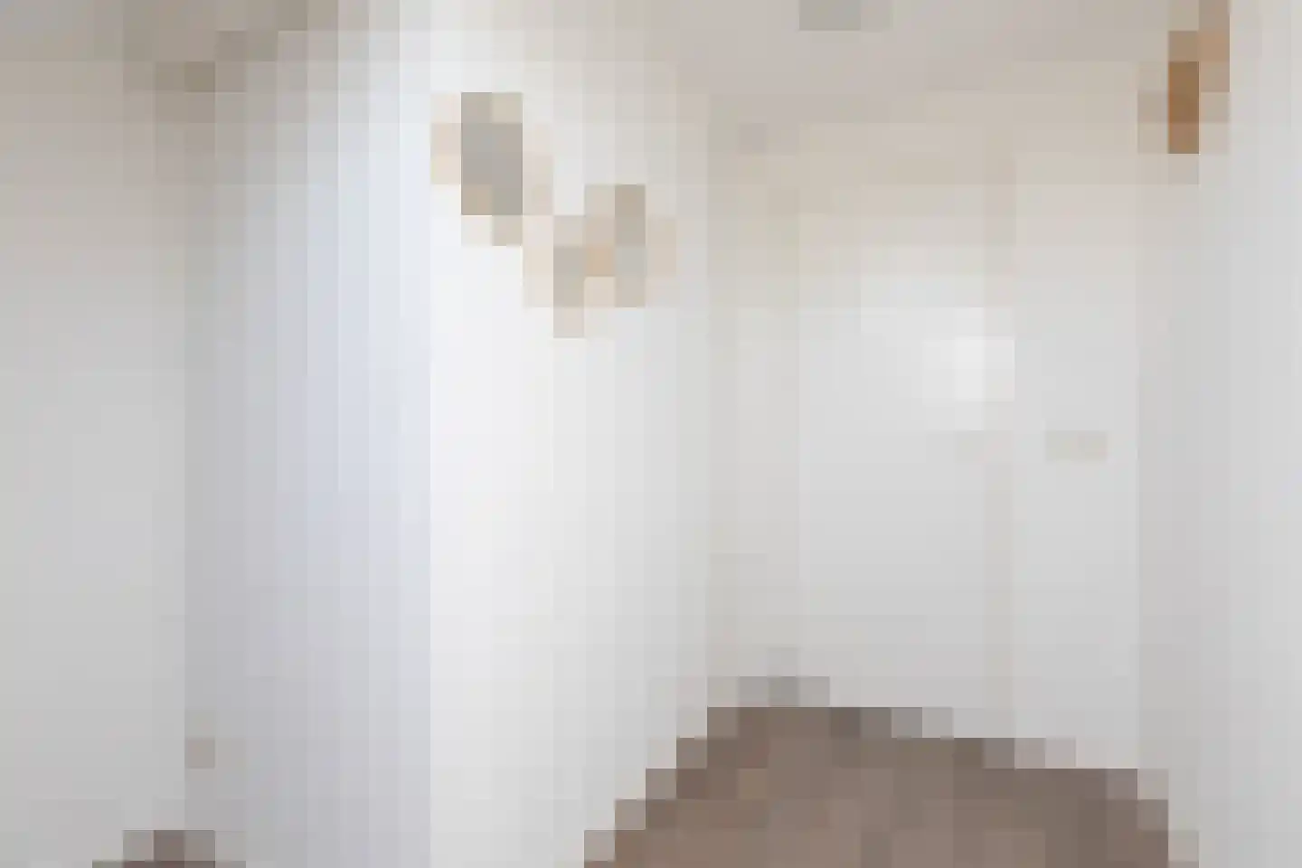 Molefinne 15 Heeg thumbnail 23