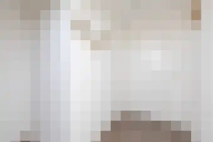 Molefinne 15 Heeg thumbnail 23