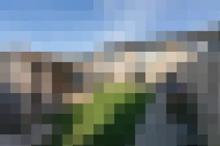 Molefinne 15 Heeg thumbnail 29