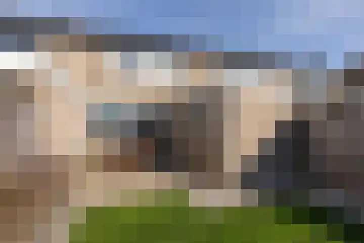 Molefinne 15 Heeg thumbnail 31