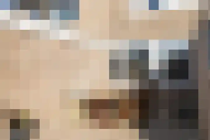 Molefinne 15 Heeg thumbnail 32