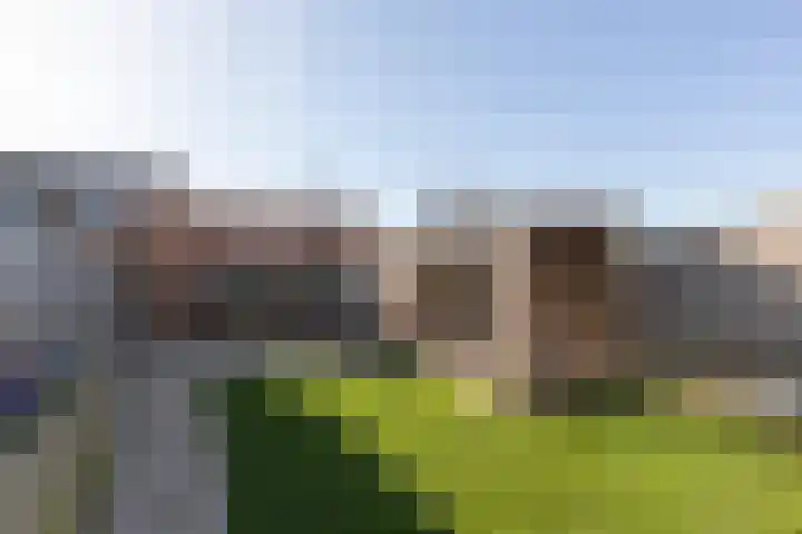Molefinne 15 Heeg thumbnail 33