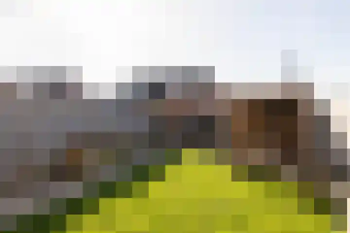 Molefinne 15 Heeg thumbnail 34