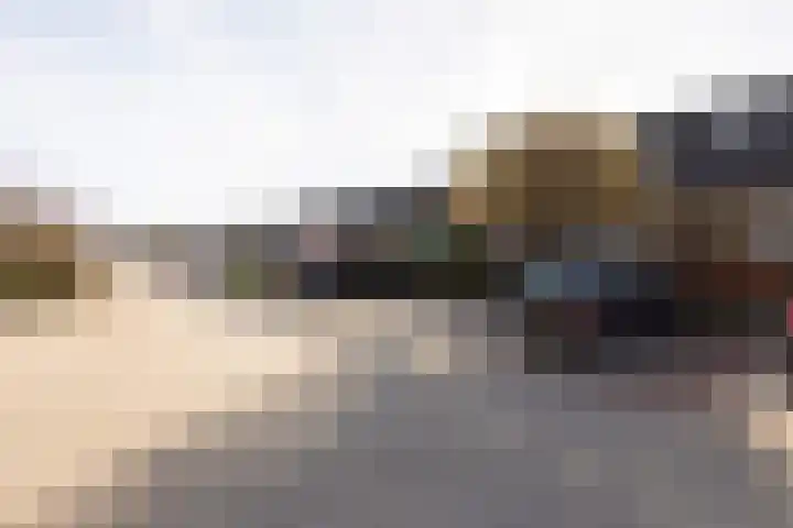 Molefinne 15 Heeg thumbnail 39