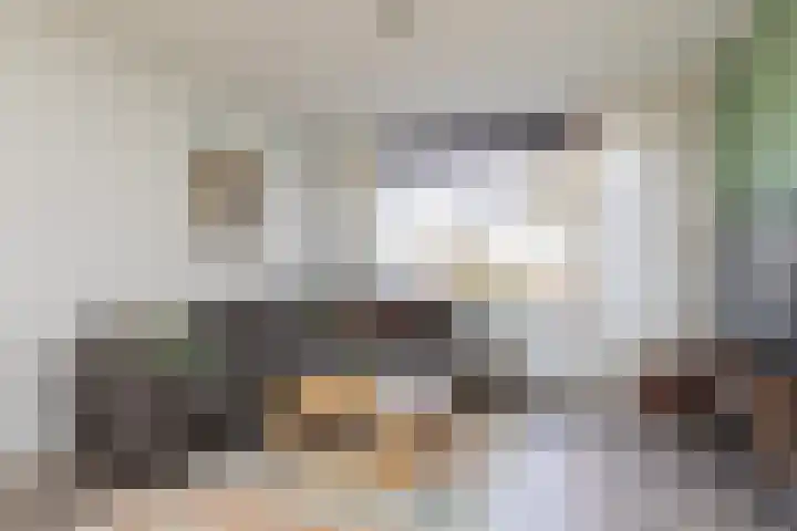 Molefinne 15 Heeg thumbnail 4
