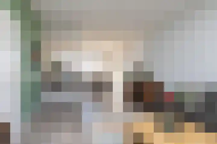 Molefinne 15 Heeg thumbnail 5