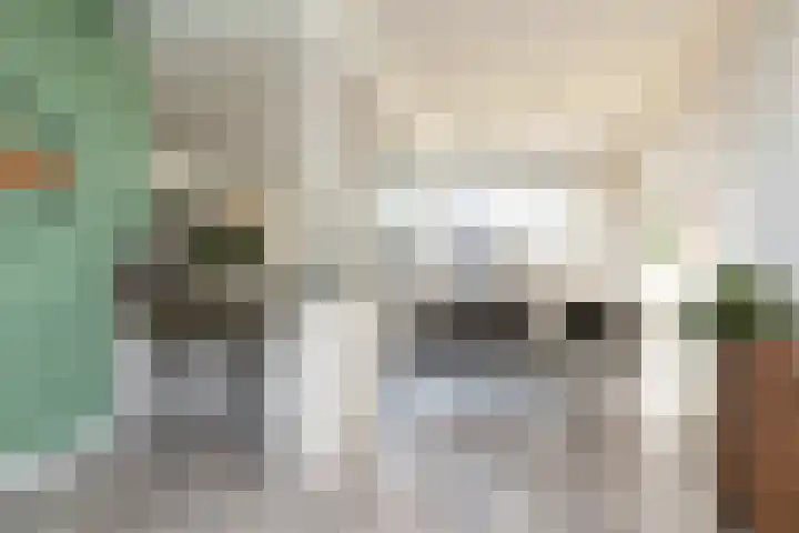 Molefinne 15 Heeg thumbnail 6
