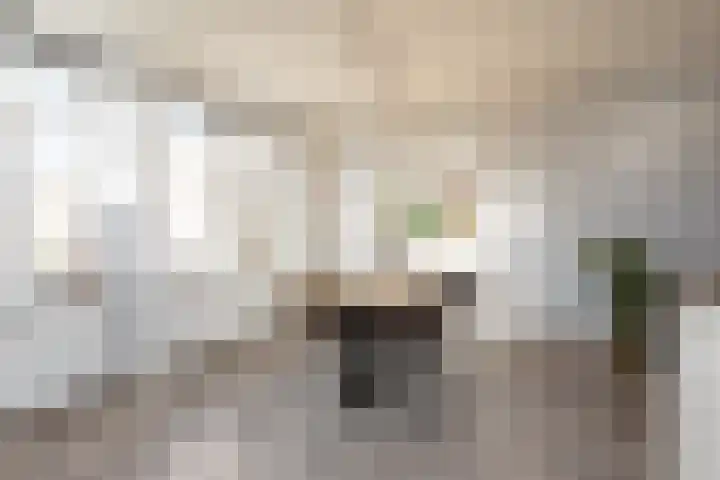 Molefinne 15 Heeg thumbnail 7