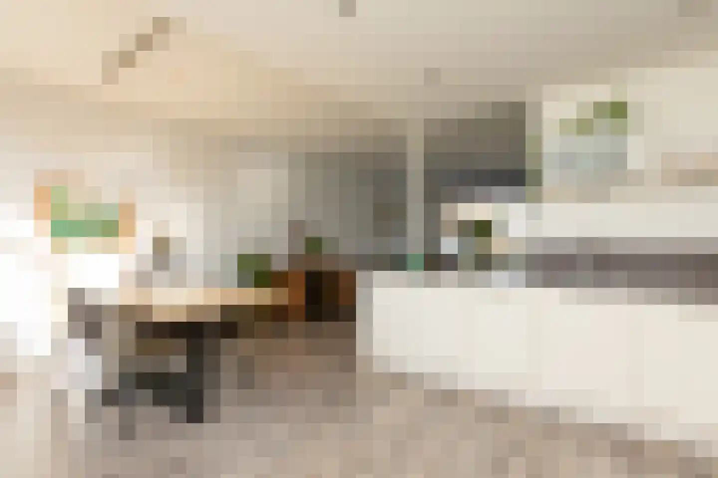 Molefinne 15 Heeg thumbnail 8
