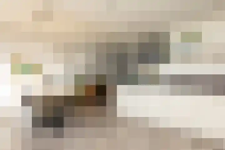 Molefinne 15 Heeg thumbnail 8