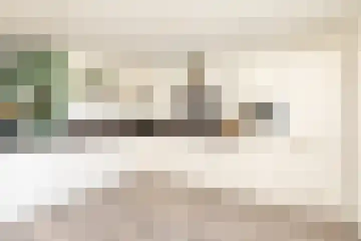 Molefinne 15 Heeg thumbnail 9