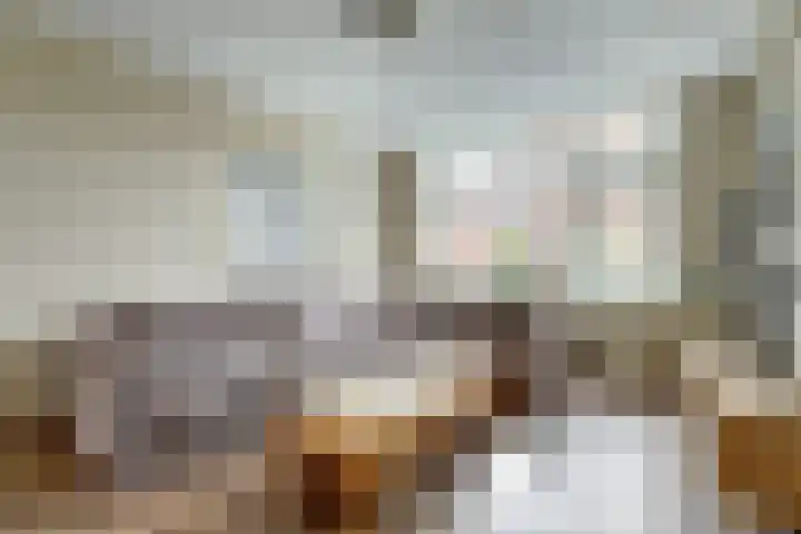 Molefinne 25 Heeg thumbnail 10