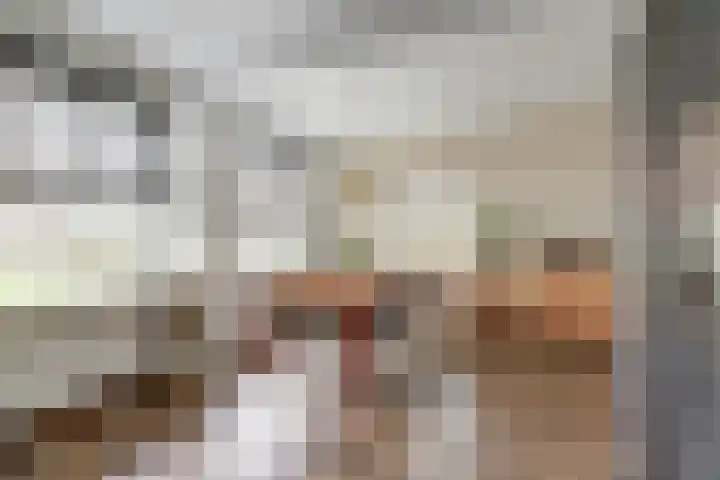 Molefinne 25 Heeg thumbnail 11