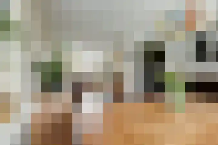 Molefinne 25 Heeg thumbnail 12