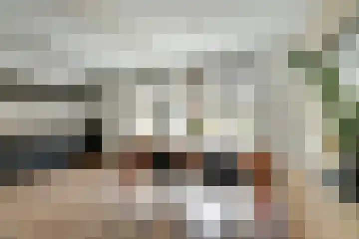 Molefinne 25 Heeg thumbnail 13